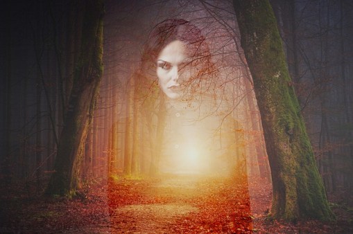 forest-3349575_640