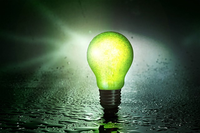 light-bulb-2631841_640 - Image by PIRO4D from Pixabay