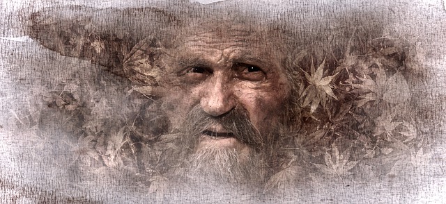 Image by Stefan Keller from Pixabay - 15