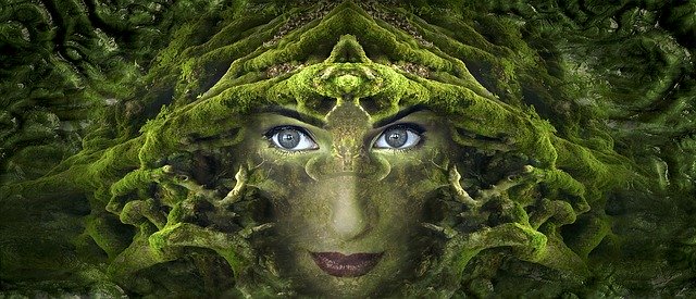 Image by Stefan Keller from Pixabay - 9