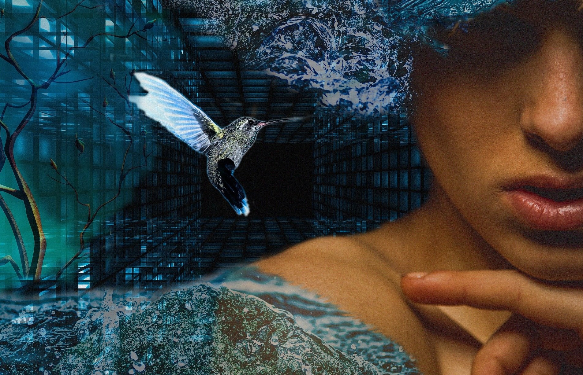 dreams-2724523_1920 Image by Mary Gorobchenko from Pixabay