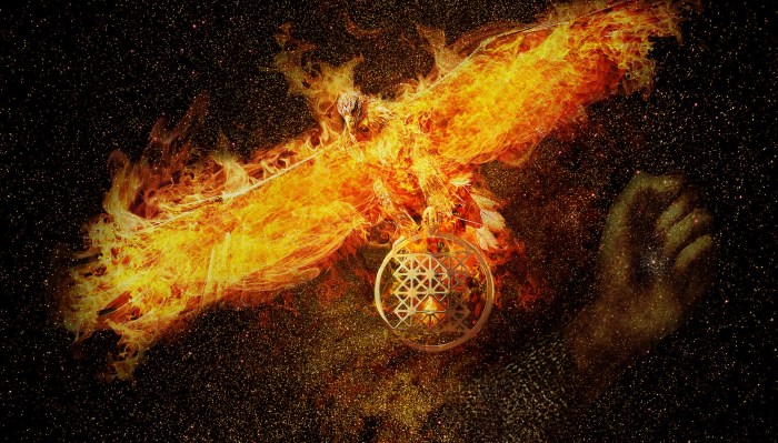 phoenix-3424275_1920 mage by micapapillon95 from Pixabay